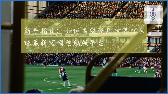 新手指南：如何高效使用世界杯买球最新官网电脑版平台