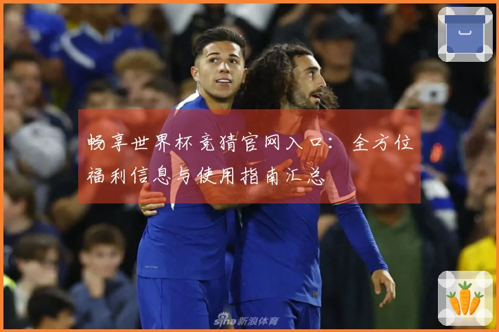 畅享世界杯竞猜官网入口：全方位福利信息与使用指南汇总