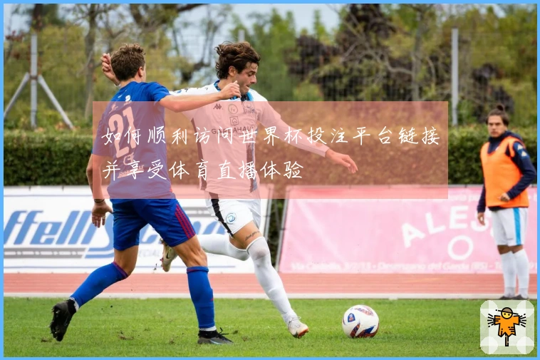 如何顺利访问世界杯投注平台链接并享受体育直播体验