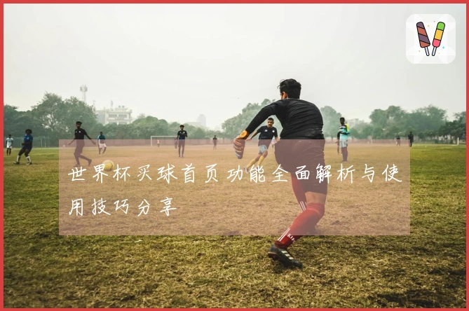 世界杯买球首页功能全面解析与使用技巧分享