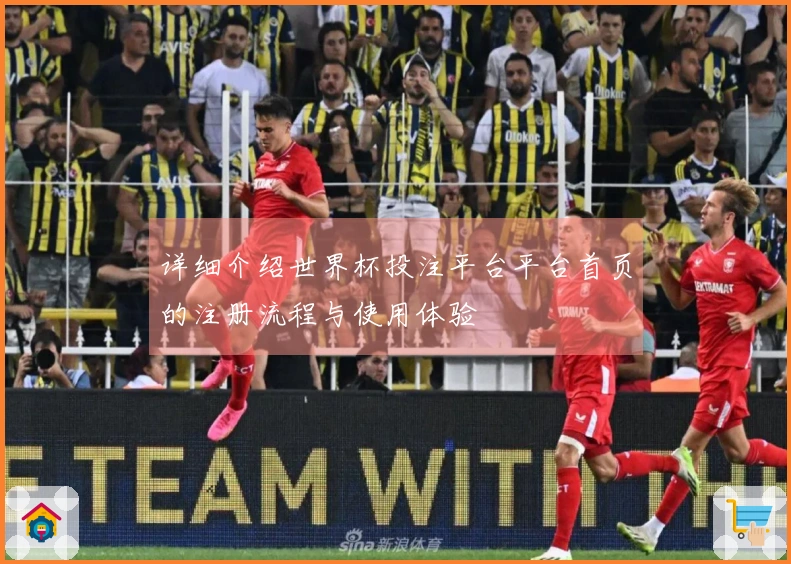 详细介绍世界杯投注平台平台首页的注册流程与使用体验