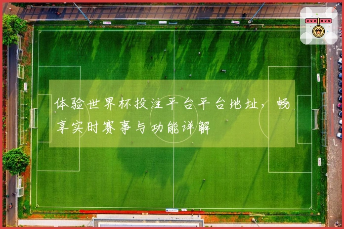 体验世界杯投注平台平台地址，畅享实时赛事与功能详解