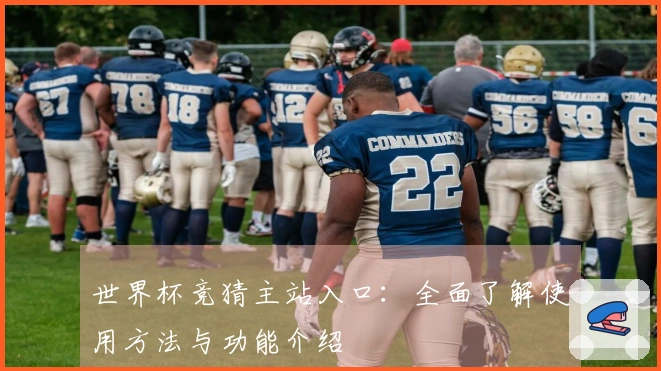 世界杯竞猜主站入口：全面了解使用方法与功能介绍