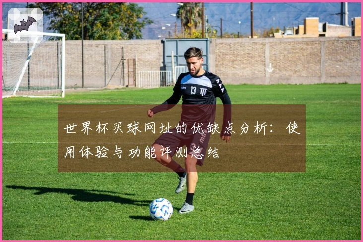 世界杯买球网址的优缺点分析：使用体验与功能评测总结