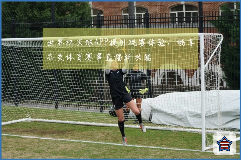 世界杯买球APP提升观赛体验，畅享各类体育赛事直播新功能