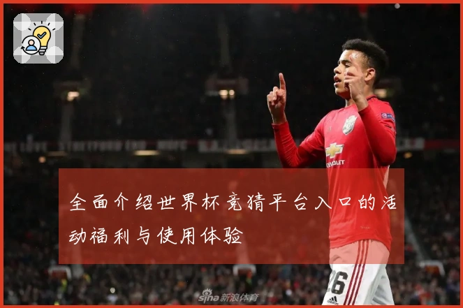 全面介绍世界杯竞猜平台入口的活动福利与使用体验