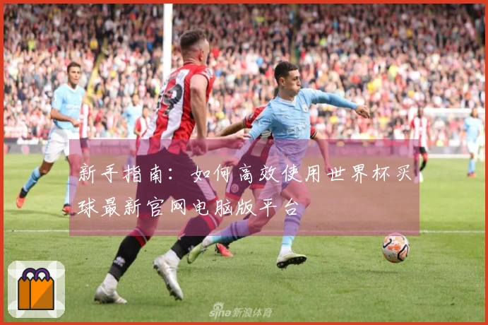 新手指南：如何高效使用世界杯买球最新官网电脑版平台